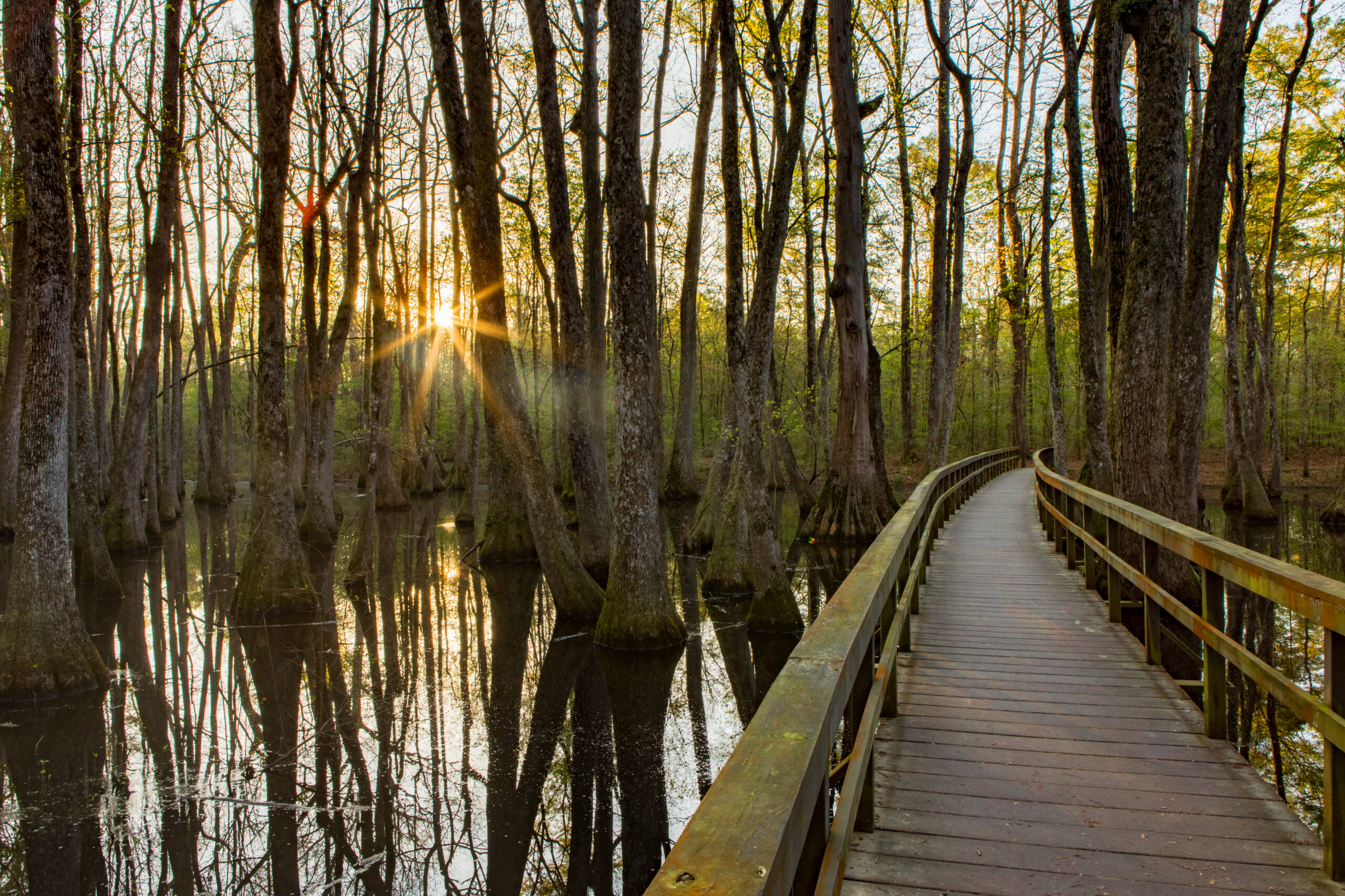 bridge over water